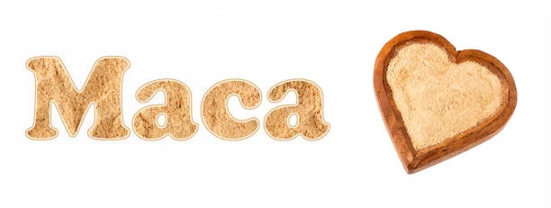 Maca Oyster supplements. Maca Oyster supplements.