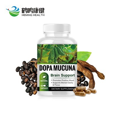 Sokongan Otak Dopa Mucuna