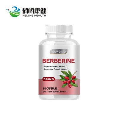 Berberine 500mg